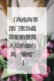 海南海事部门紧急疏散船舶撤离人员防御台风“蝴蝶”